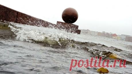В Петербурге легковушка без водителя скатилась в Неву. В Санкт-Петербурге легковой автомобиль скатился в Неву. Людей в салоне не было. Об этом сообщает &quot;Мойка78&quot; со ссылкой на пресс-службу ГУ МЧС России по Северной столице. &quot;На Васильевском острове легковушка съехала в воду. ...