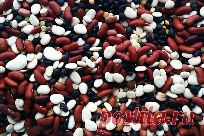 Россиянам назвали главную опасность дефицита белка в организме. Диетолог-эндокринолог PremierMedica Елена Щетинина и врач-диетолог, член Национальной ассоциации диетологов и нутрициологов России Наталья Круглова заявили, что при отсутствии достаточного количества животного белка в рационе люди чаще подвержены разным инфекциям, как вирусным, так и не вирусным.