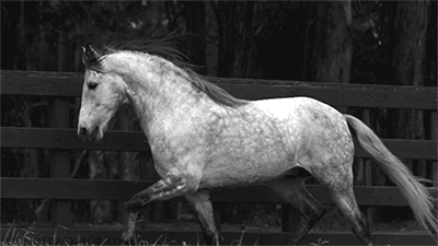 giphy.gif (400×225)