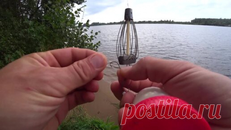 Рыбалка на Донки Осенью. Как долго ловить на донки? Активность рыбы в осеннее время | Живу на Земле. Рыбалка  | Дзен