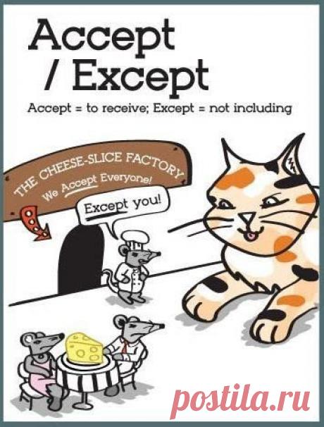 12 английских слов, в которых легко запутаться: / Неформальный Английский