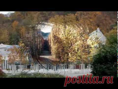Музыка Моцарта. Лечение и улучшение мозговой активности“Музыка Моцарта мобилизует все природные способности нашего мозга”. (Гордон Шоу, нейробиолог и физик из США)