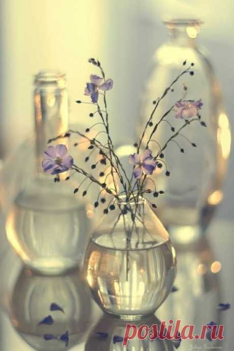 Вечер...Время для монологов растревоженной ветром души....