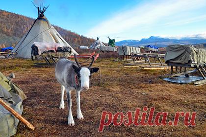 За 50 лет на Ямале потеплело почти на четыре градуса. На Ямале за 50 лет климат стал теплее на 3,5 градуса, следует из данных исследований за 1971-2020 годы. Об этом сообщается на сайте Научного центра изучения Арктики. Там рассказали, что каждый год температура воздуха на Ямале повышается на 0,7 градуса. Интенсивные изменения климата начали происходить с 2010 года.