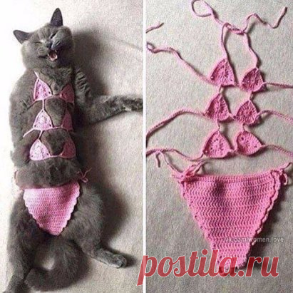 Хозяйке браво ахахаха