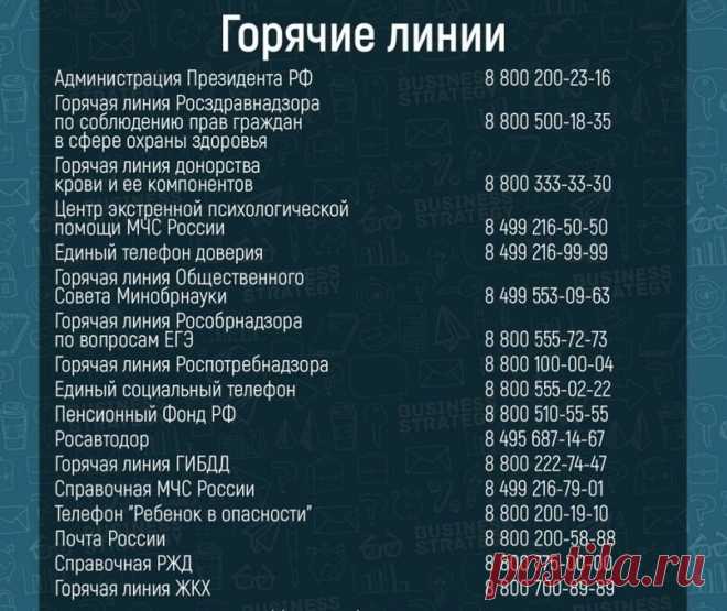 Телефоны на все случаи жизни