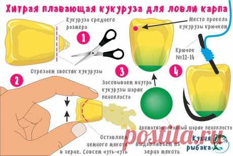 Плавающая кукуруза, которую любит карп | Кухня рыбака | Яндекс Дзен