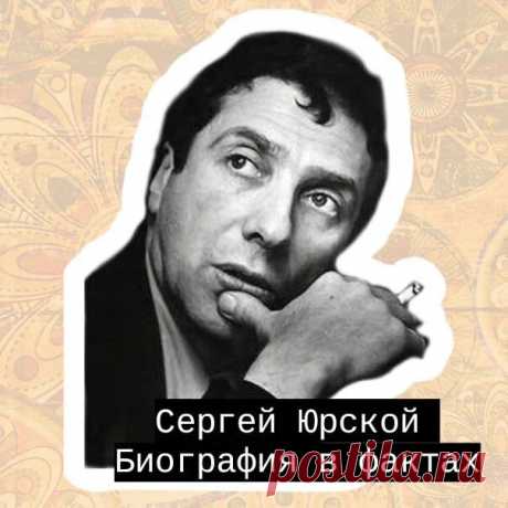 Бабулиta | Яндекс Дзен