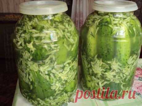Огурцы в собственном соку — Дачный участок