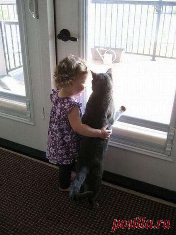 Эти очаровательные котики поднимут вам настроение!