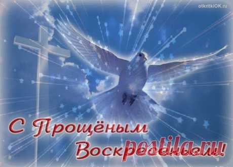 (8) Facebook