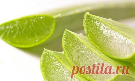 1 непрочитанный чат