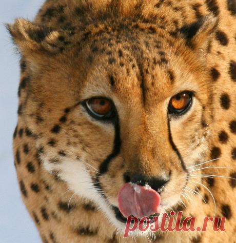 Фотографии на стене сообщества | 19 484 фотографии