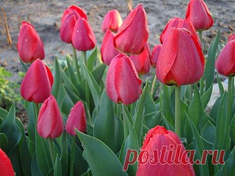 Мой Мир@Mail.Ru