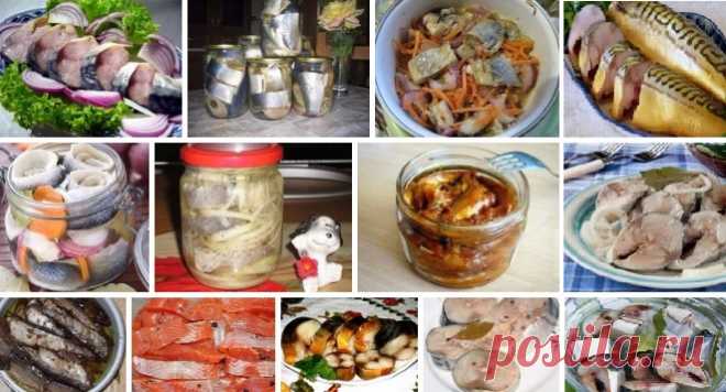 ТОП-10 рецептів приготування скумбрії 1. Скумбрія за три хвилини Цей рецепт мамі розповіла продавщиця риби на ринку. Він настільки елементарний, що я була вражена таким відмінним результатом. Звичайно, це а-ля копчена скумбрія, так як...