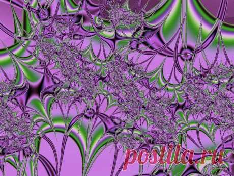 Фрактал, сделан в программе Fractal Explorer