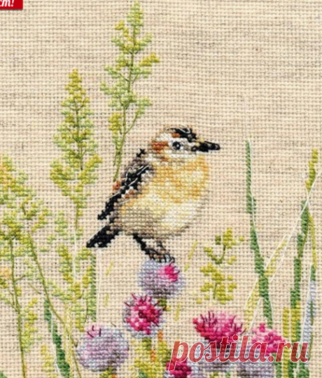 ВЫШИВКА-Луговой чекан