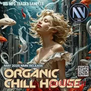 01. Adrianomaria - No Way (00:03:37) 02. Delal Derin - Hard To Forget You (00:04:31) 03. Jelly For The Babies - Flying (00:05:49) 04. Lavidaa - Best In Town (00:02:51) 05. Fluxion - Life Motif (00:05:27) 06. Don Carlos - Free (00:06:26) 07. Alanhere - Night Sky (00:06:23) 08. Azimov - Autumn Fairy