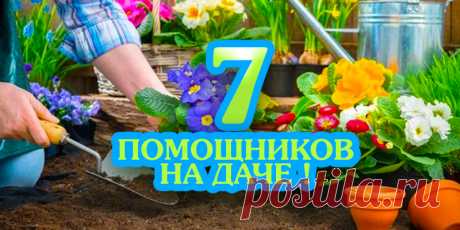 7 ПОМОЩНИКОВ НА ДАЧЕ ! | Полезные советы