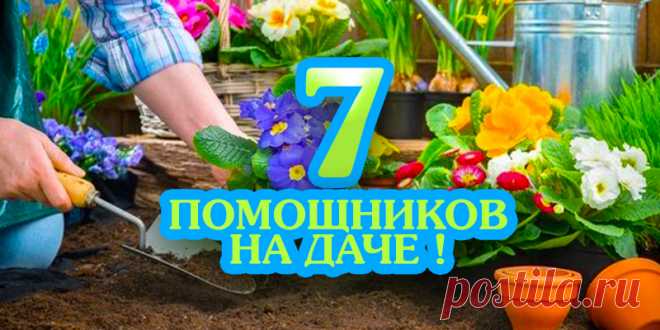 7 ПОМОЩНИКОВ НА ДАЧЕ ! | Полезные советы