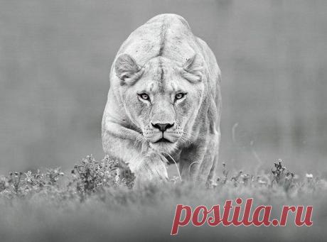 Всё плохое, что происходит с тобой -  это не наказание за прошлое, а испытание ради будущего. / Основы бизнеса