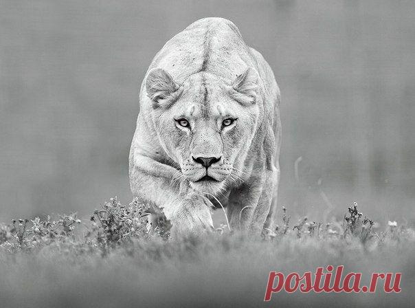 Всё плохое, что происходит с тобой -  это не наказание за прошлое, а испытание ради будущего. / Основы бизнеса