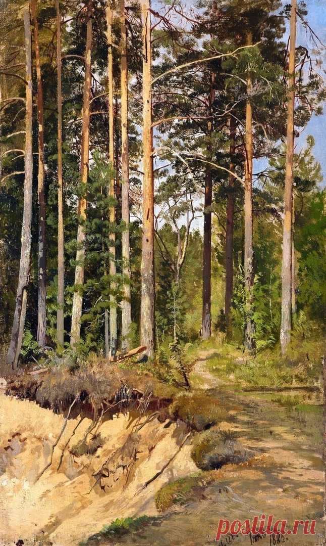 Художник Иван Иванович Шишкин (1832-1898).
«Сосновый лес», 1888 г.