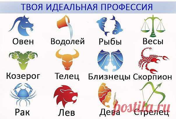 (53) Одноклассники