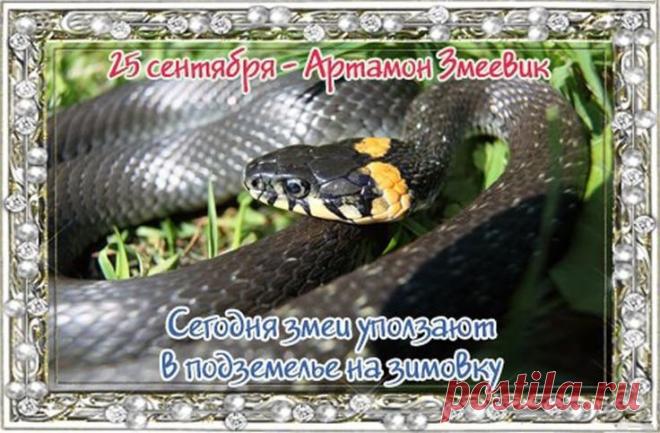 Для охотников день Артамона Змеевика считался особым, сулящим удачу на весь осенне-зимний сезон. Открытки на День Памяти Артамона Змеевика!