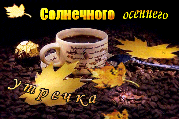 С Добрым Осенним Утром! 🍁Хорошего дня! 👌