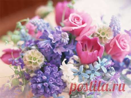 КАК ДОБАВИТЬ К СВОЕЙ ЖИЗНИ МИНИМУМ 7 ЛЕТ? В журнале The Psychological Science американские психологи опубликовали 9 рецептов, которые, по их исследованиям, добавляют минимум 7 лет жизни. 1. Хвалите себя как можно чаще. Но — про себя. Внутренняя …