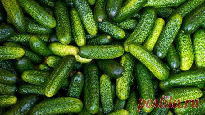 Названы снижающие давление продукты - KP.RU