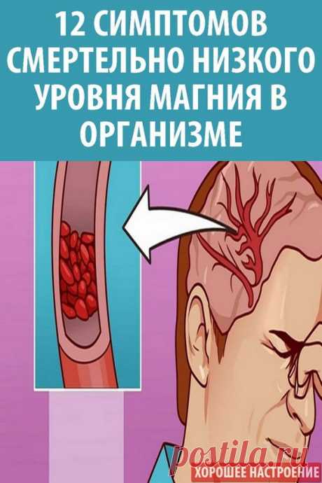Все мы знаем, что такое магний, но часто недооцениваем то, насколько важен этот минерал для организма. Он участвует более чем в 300 метаболических процессах. Это означает, что недостаток магния радикально влияет на здоровье. В нашем рационе часто не хватает магния, и многие пищевые добавки впитываются плохо и не могут значительно улучшить ситуацию. Каковы признаки недостатка магния в организме, и что в таком случае можно предпринять?