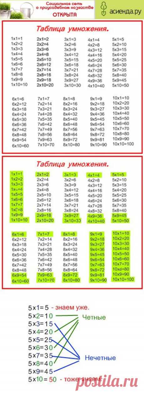 Ох, уж эта таблица умножения! - Просмотр темы - - Женские форумы myJane