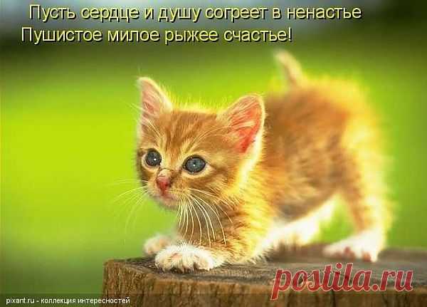 Мой Мир@Mail.Ru