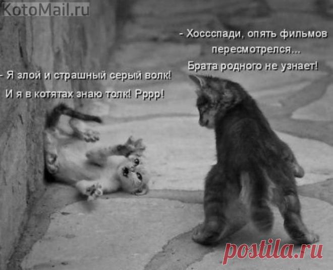 Ужастик))) | KotoMail.ru