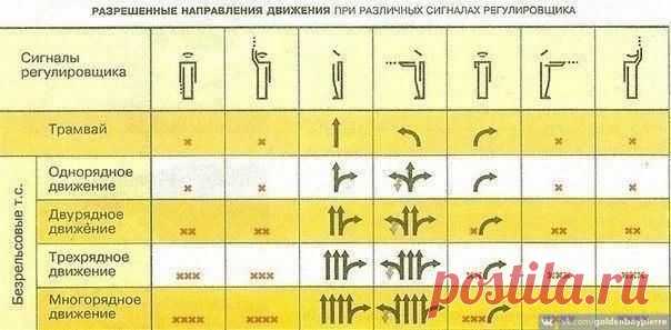 Как легко запомнить сигналы регулировщика! / Модное Настроение