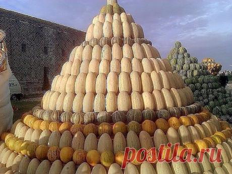 image.jpeg (Изображение JPEG, 640 × 480 пикселов)