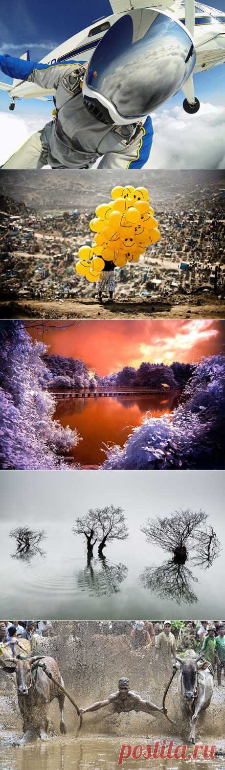 Победители конкурса фотографий Sony 2014 / Всё самое лучшее из интернета
