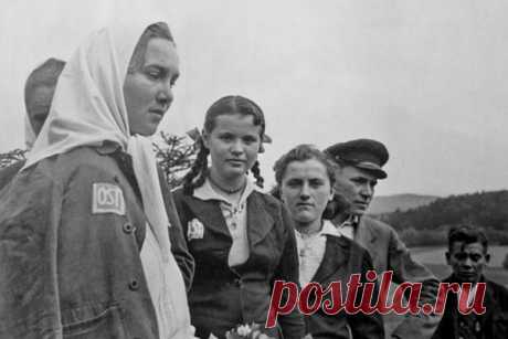 Вопрос о «невозвращенцах» Великой Отечественной один из наименее изученных. Долгое время вся информация по нему была засекречена. Сегодня завеса тайн отчасти приоткрылась, что позволило понять масштабы и причины этого явления.