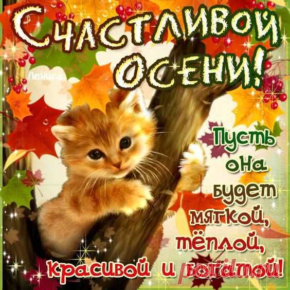 (92) Pinterest