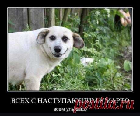 8 марто