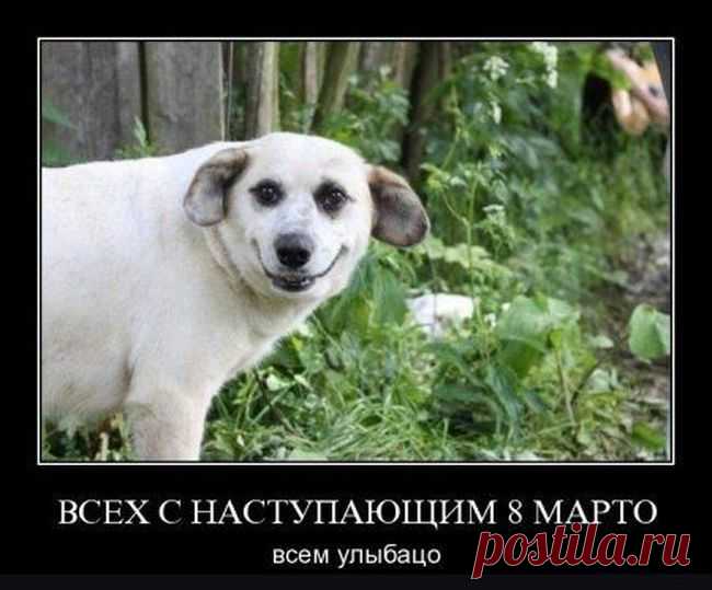 8 марто