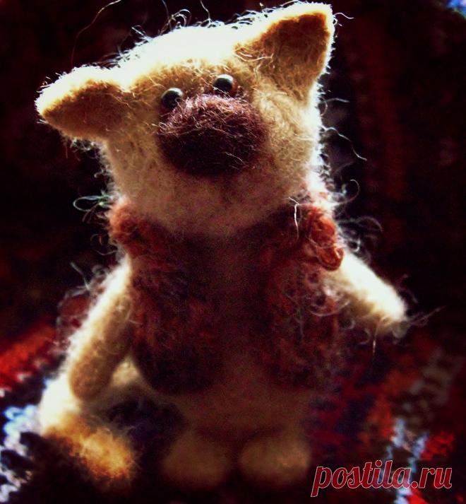 Милашка котик