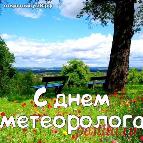 Метеорологи сегодня
Вам пожелать хочу циклонов
Добра, любви, удачи,
Пусть бури денег помогают
Решить вам все задачи.