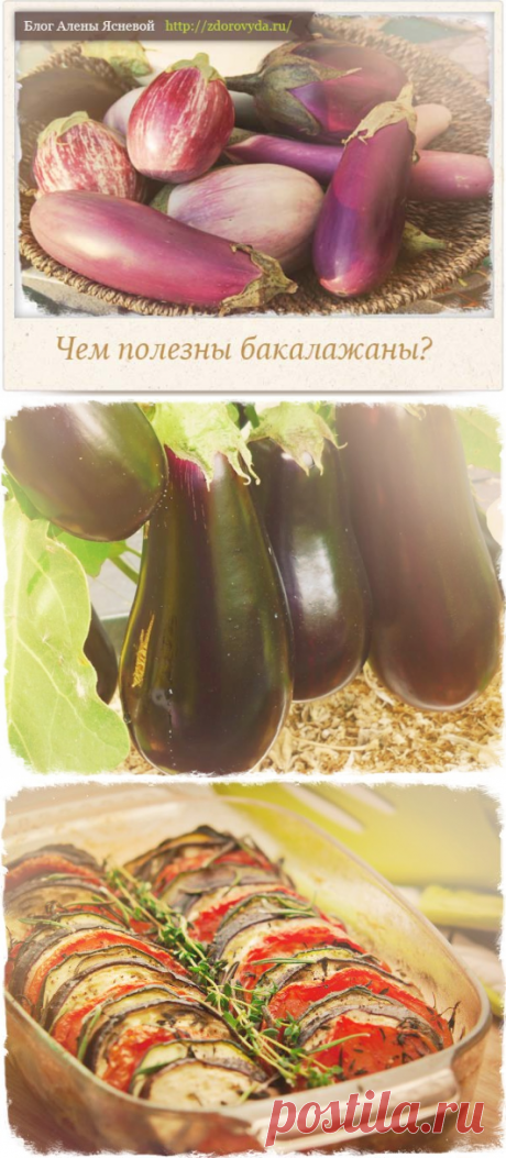 Польза баклажанов для нашего здоровья -как готовить и есть