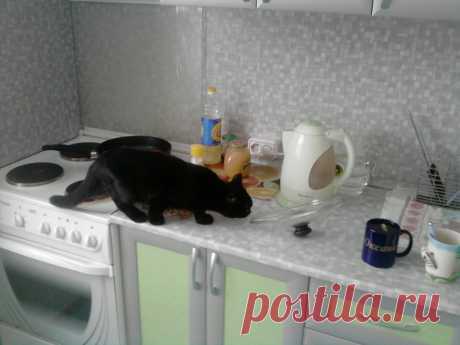 Попался