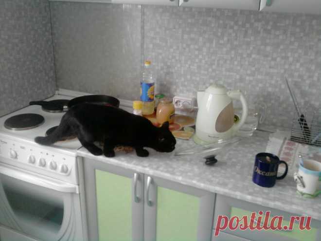 Попался