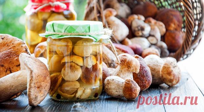 Как быстро замариновать грибы в любое время года