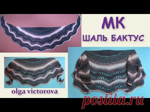 ШАЛЬ БАКТУС  Вязание спицами 552